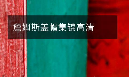 詹姆斯蓋帽集錦高清