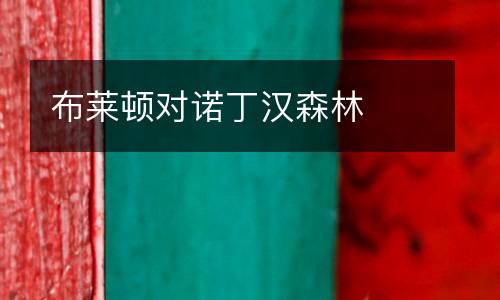 布萊頓對諾丁漢森林